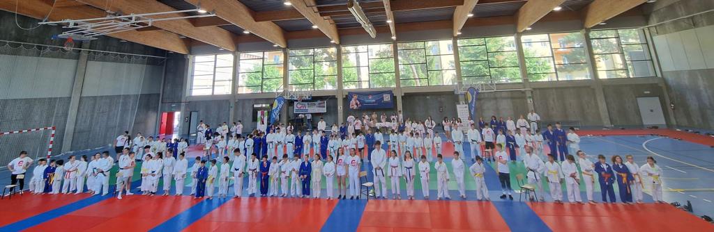 Multitudinaria participación de judokas en el Polideportivo de la SAFA. Foto: Club Grandmontagne